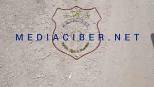 Polish_20221103_134051604