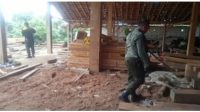 Diduga Menerima Kayu Hasil Iilegal Logging ,2 Perusahaan Kayu Digeledah Tanpa Adanya Dokumen Resminya