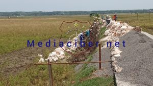 Polish_20221110_092828006