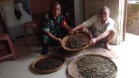 Babinsa Koramil 431-01/Jebus Komsos Dengan Pembuat Teh Tayu di Desa Ketap
