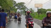 Puting Beliung Merobohkan Tiang Listrik Dan PJU, Sampek Bikin Panjang macet Di Sidayu Gresik