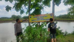 IMG-20230117-WA0268