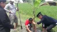 Penanaman Pohon Pisang,Pohon Manggis dan Pohon Durian di Sekertariat Perguruan IKS’PI Kera Sakti Cabang Jombang