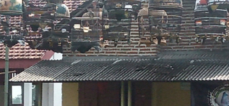 Img 20230130 193609