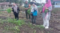 Pastikan Giat Penyerahan Bantuan Bibit, Oleh Ketua TPPK Bangka Barat Berjalan Lancar, Babinsa Laksanakan Monitoring