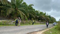 Satlantas Polres Bangka Barat Himbau Pelaku Tabrak Lari Di Parit Tiga Agar Menyerahkan Diri