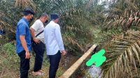 Polres Bangka Barat Tunggu Hasil Otopsi Mayat Perkebunan Sawit Bukit Intan Bine PT BPL Desa Berang