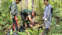 Dukung Usaha Ternak Madu Kelulut Bumdes Air Gantang, Babinsa Koramil 431-01/Jebus Laksanakan Monitoring