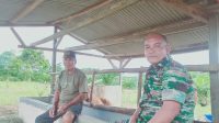 Binter di Desa Binaannya, Babinsa Koramil 431-01/Jebus Kunjungi Kebun Peternak Sapi
