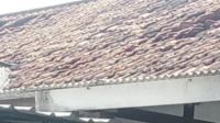 Rangka Atap Kantor Desa Pulorejo Kecamatan Tembelang Rusak Parah