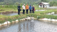 Dinas Perikanan Kabupaten Malang Dalam Pengembangan Budidaya Ikan