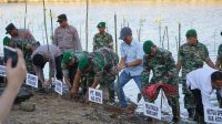 Peduli Lingkungan Danrem 102/Pjg Bersama Waka Polda Pimpinan Penanaman Mangrove Nasional Secara Serentak Di Kalimantan Tengah