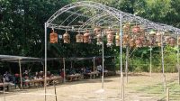 Halal Bihalal Paguyupan Perkutut Lokal Alam Songgoratu Korcam Kabuh Gelar Lomba Anggungan