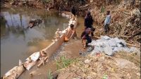 Kerjakan Pondasi dalam Genangan Air, Proyek TPT Kp. Bambu Kuning Dikerjakan Asal Jadi