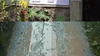 Diduga Dikerjakan Oknum dari UPT, Kualitas Proyek Betonisasi Jalan Setapak dari Banprov di Desa Pasirlaja Dipertanyakan
