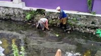 Cegah Banjir di Lahan Pertanian, Dinas PUPR Perbaiki Plengsengan Depan RSUD Gambiran