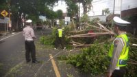 Pohon Tumbang di Jl. Semeru, Polres Kediri Kota Terjunkan Tim Evakuasi