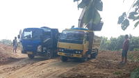 Diduga tak berijin galian C di desa simo kecamatan Soko kabupaten Tuban bebas beroperasi