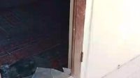 Kantor LSM FPSR Diteror Orang Tak Dikenal, Kaca Dipecah,WAGs Mengecam Teror dan Aksi Premanisme di Kantor LSM FPSR
