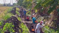 Desa Karang Adakan Progam Padat Karya Pembersihan Saluran Pengairan irigasi