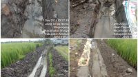 Proyek Siluman di Desa Tempursari Madiun Tanpa Papan Nama di Kerjakan Asal – asalan dan Amburadul