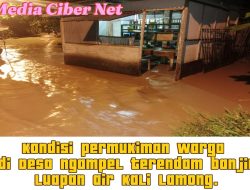 Berita Terkini Anak Kali Lamong Meluap, Banjir Rendam Rumah Warga di Gresik Selatan