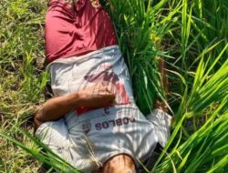 Penemuan Jasad Pria Di Area Persawahan Benjeng Gresik