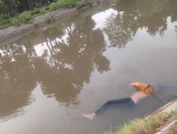 Heboh, Warga Desa Pacarpeluk Jombang Temukan Mayat Miss X Mengapung di Aliran Sungai Kanal