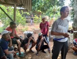 Polsek Ujungpangkah Gerebek Lokasi Judi Sabung Ayam, 17 Orang Diamankan