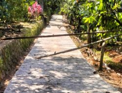 Pembanguna Rabat Beton Di Desa Winong Dengan Angaran Dana Desa (DD) 2025.Berjalan Sesuai spesifikasi ( RAB )