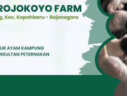 SERAMBI ROJOKOYO FARM