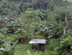 Rencana Pembangunan Yayasan Pedepokan Nur Alif Terletak di Perumahan Makhota Sampaja Gang Ikhlas Samarinda Utara