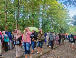Geliat Ekonomi di Tepian Hutan: Sunday Market (Sumar) Nglongkeh Jadi Magnet Baru Warga Ngawi
