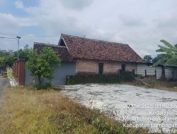 kejaksaan di minta Segera Panggil Paigi Pokmas Desa Sewor Terkait Dugaan Penjualan Bantuan Sapi