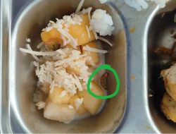 Video Viral Menu Makan MBG SMAN 1 Babat Diduga Berulat, Respons Sekolah Dinilai Meremehkan Keluhan Siswa