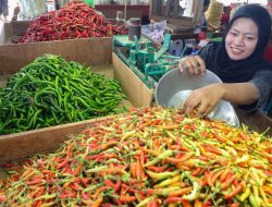 Harga Cabai Rawit di Kediri Tembus Rp57 Ribu per Kilogram, Serapan Industri Jadi Pemicu