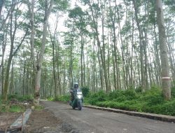 TMMD Ke-127 Tembus Isolasi Desa: Jalan 1,6 Km Gadungan Kini 60 Persen, Warga Rasakan Dampaknya