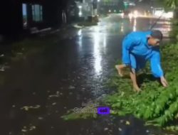 Hujan Disertai Angin Terjang Puncu, Pohon Tumbang dan Rumah Warga Rusak