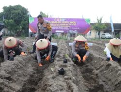 Polres Kediri Tanam 3.000 Bibit Uwi Ungu, Dorong Pangan Alternatif dan Perkuat Ketahanan Nasional