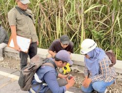 Jejak Raden Ajeng Kartini di Balik Helm Proyek: Kiprah Endang Kartika Sari Menembus Batas Dunia Beton