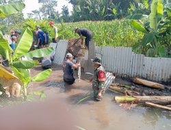 Babinsa Turun Tangan! Sungai Pulerejo Dibersihkan, Ancaman Banjir Disikat Habis