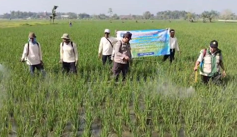 Screenshot 2026 0424 082218