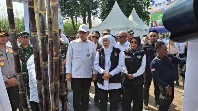 Bongkar Ratun Dimulai, Jatim Optimistis Wujudkan Swasembada Gula Nasional 2026