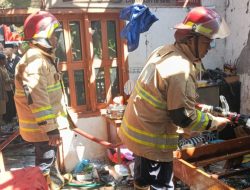 Kurang dari 12 Jam, Tiga Kebakaran Beruntun Guncang Kediri: Rumah, Kandang Sapi, hingga 5,5 Hektar Lahan Tebu Ludes