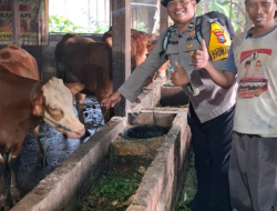 AIPDA NANANG SUMANTRI, S.H. MAS BHABIN SIDOMUKTI AKTIF MONITORING TERNAK, DUKUNG KETAHANAN PANGAN DAN KESEHATAN HEWAN KURBAN