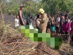 Petani Tebu di Kediri Tewas Terjebak Kobaran Api, Sempat Diingatkan Jangan Bakar Lahan Saat Angin Kencang