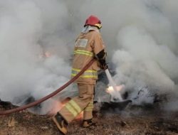 Rekor! 11 Kebakaran Landa Kabupaten Kediri dalam Sehari, Damkar Pontang-panting Hadapi Musim Kemarau