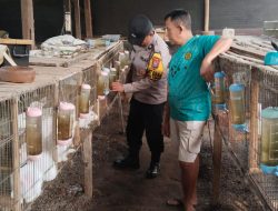 Polsek Kepung Turun Langsung Dampingi Peternak Kelinci, Perkuat Ketahanan Pangan dari Desa