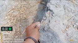 SKANDAL P3TGAI: Bual Kades Purwodadi Kediri Soal P3-TGAI ‘Paling Bagus’ Tanpa Potongan: Adukan Semen Rontok Diusap Tangan & Pekerja Minim, Terindikasi Manipulasi HOK!
