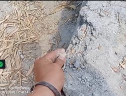 SKANDAL P3TGAI: Bual Kades Purwodadi Kediri Soal P3-TGAI ‘Paling Bagus’ Tanpa Potongan: Adukan Semen Rontok Diusap Tangan & Pekerja Minim, Terindikasi Manipulasi HOK!